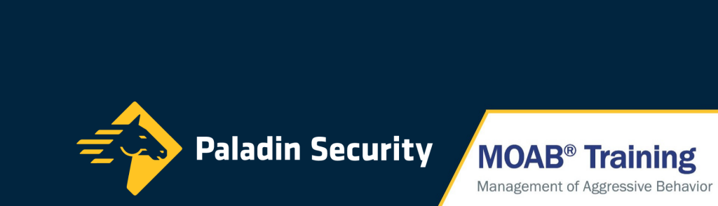 https://paladinsecurity.com/wp-content/uploads/2022/05/Untitled-design-e1652457932510.png