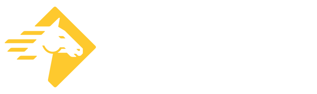 paladin security logo in yellow with the words 'Paladin security' on the right in white